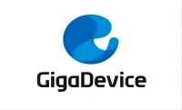 Gigadevice memory